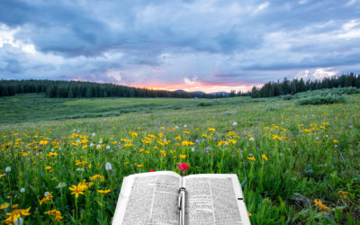 The Two Book Fallacy – Again