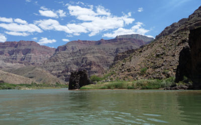 Creation 101: Geology Part 2