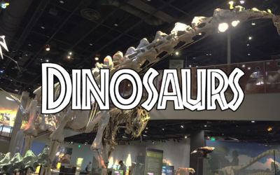 Dinosaurs – Part 2