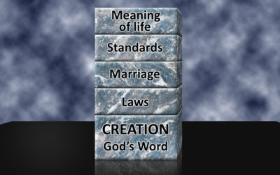The Importance of Genesis
