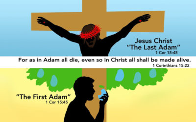 Genesis and the Gospel