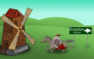 Natural Selection – Part 1