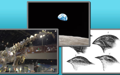 A Round Earth, Natural Selection, and Dinosaurs
