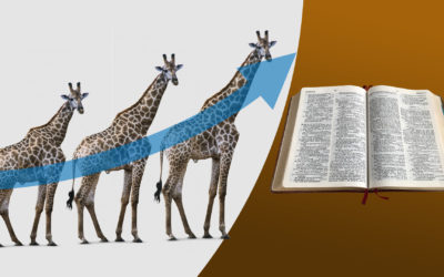 Natural Selection – Part 3:  Biblical Issues