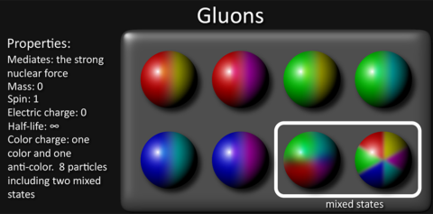 Quantum Particles: Gauge Bosons | Biblical Science Institute